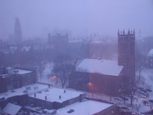 The Green with the Old Campus in the background